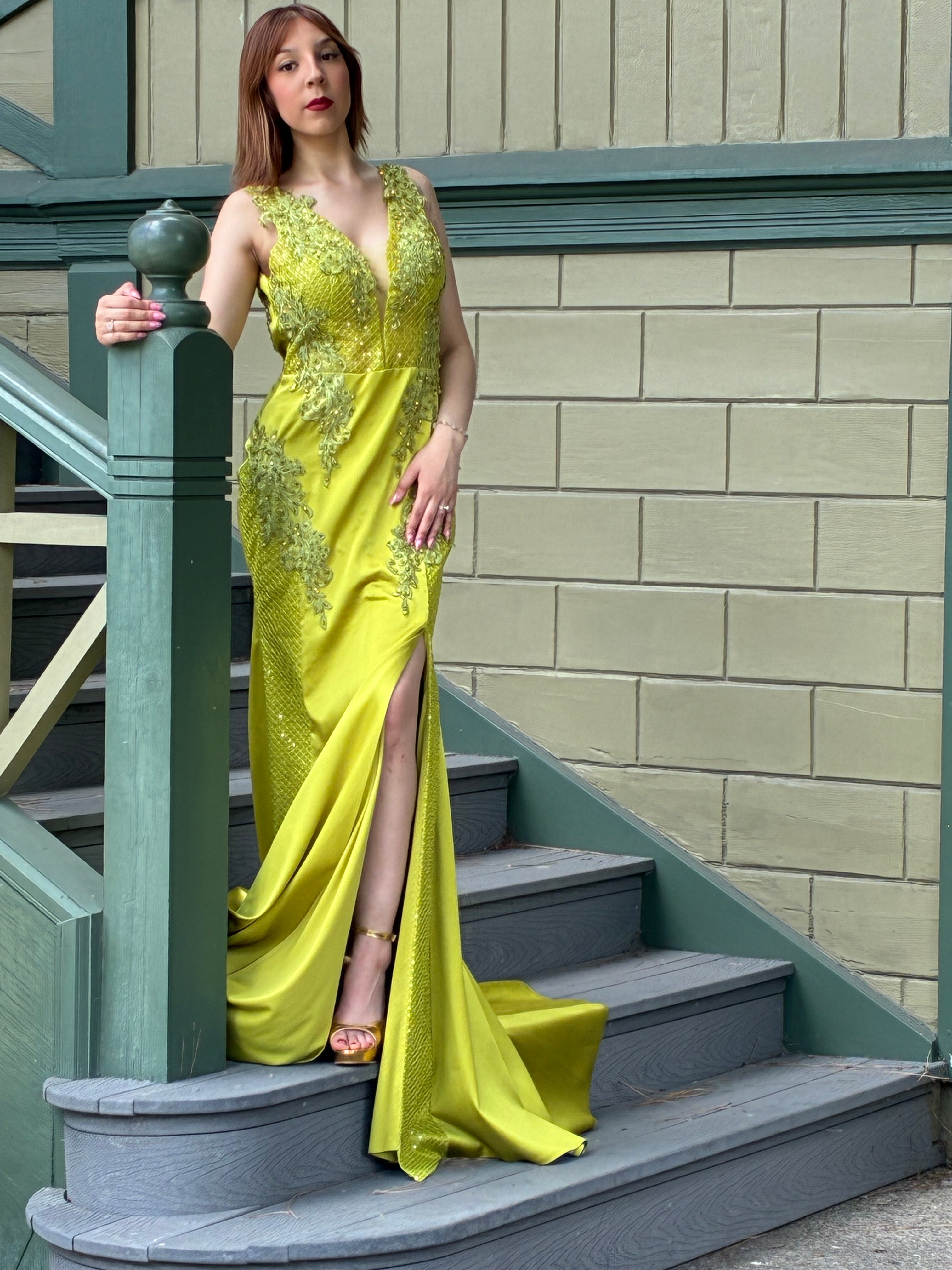 Gold Embroidered Gown