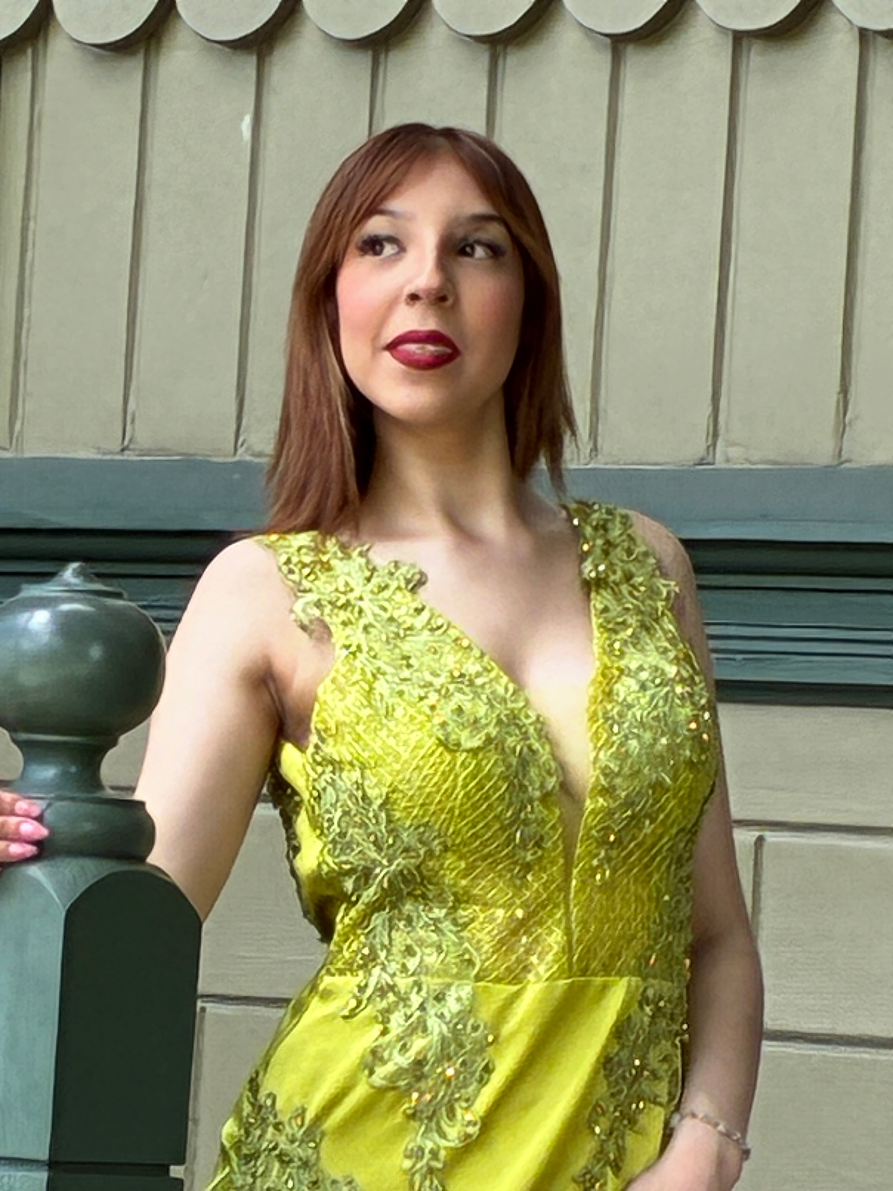 Gold Embroidered Gown